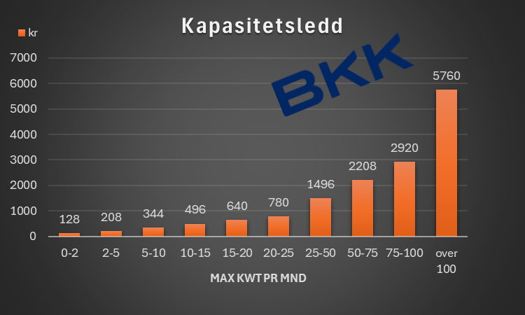 Kan kapasitetsleddet til netteier viderefaktureres til brukerne?